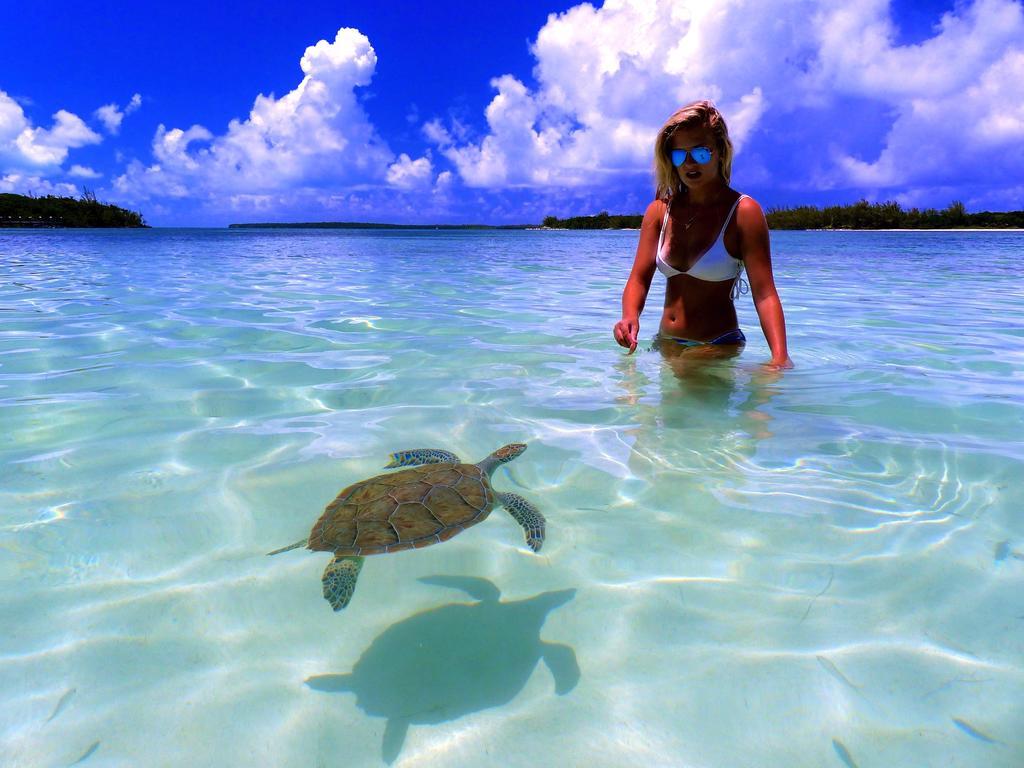 Bluff House Beach Resort & Marina Green Turtle Cay Exteriér fotografie
